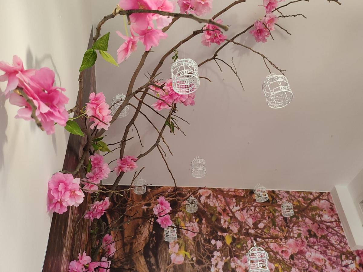 코르도바 Suenos De Orive. Con Piscina Y Wifi. Casco Antiguo. 아파트 외부 사진